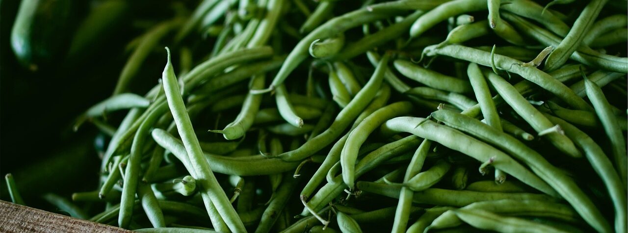 Improve Your Diet With These Foods
